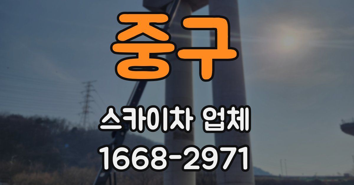 중구 스카이차 업체