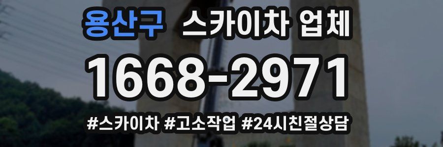 용산구 스카이차 업체