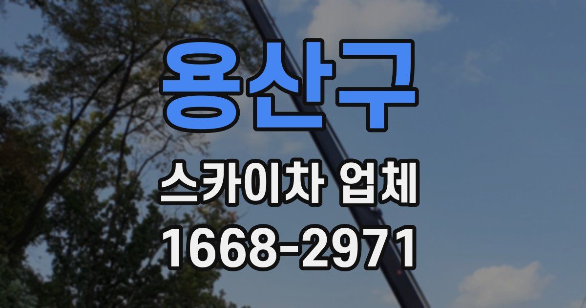 용산구 스카이차 업체