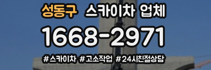 성동구 스카이차 업체
