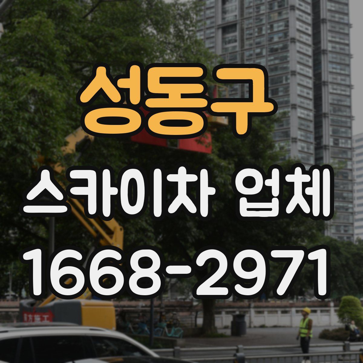 성동구 스카이차 업체