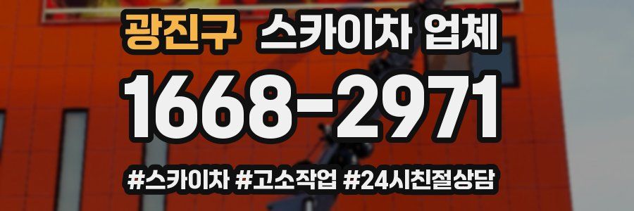 광진구 스카이차 업체