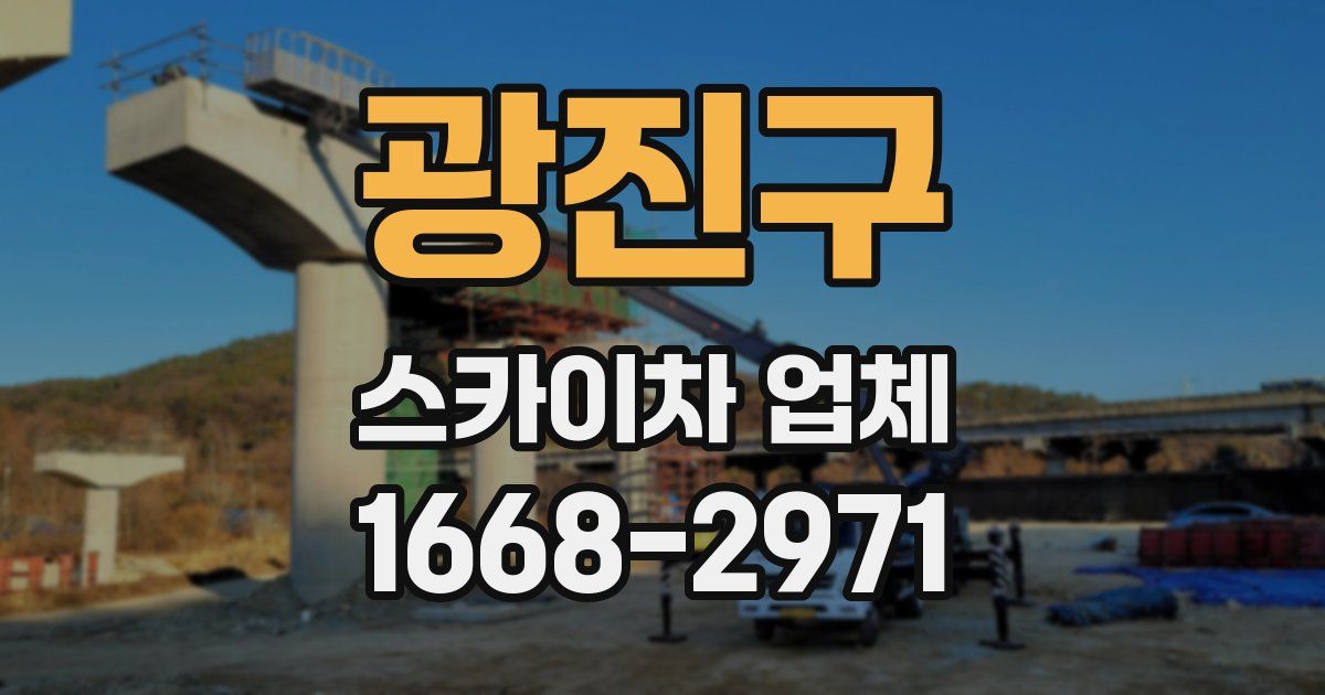 광진구 스카이차 업체