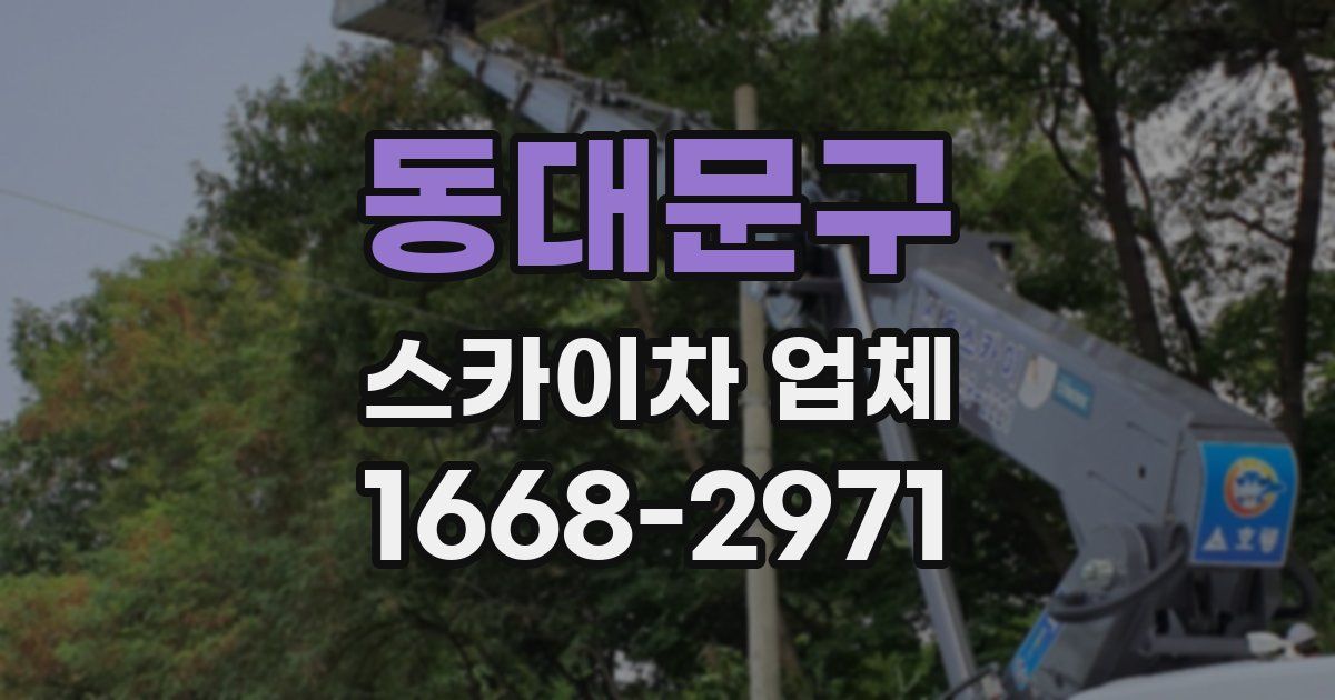 동대문구 스카이차 업체