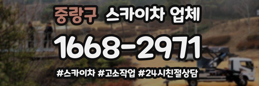 중랑구 스카이차 업체