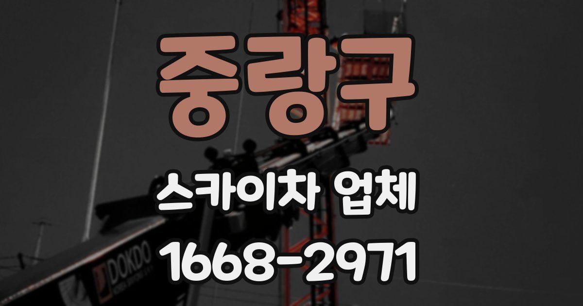 중랑구 스카이차 업체