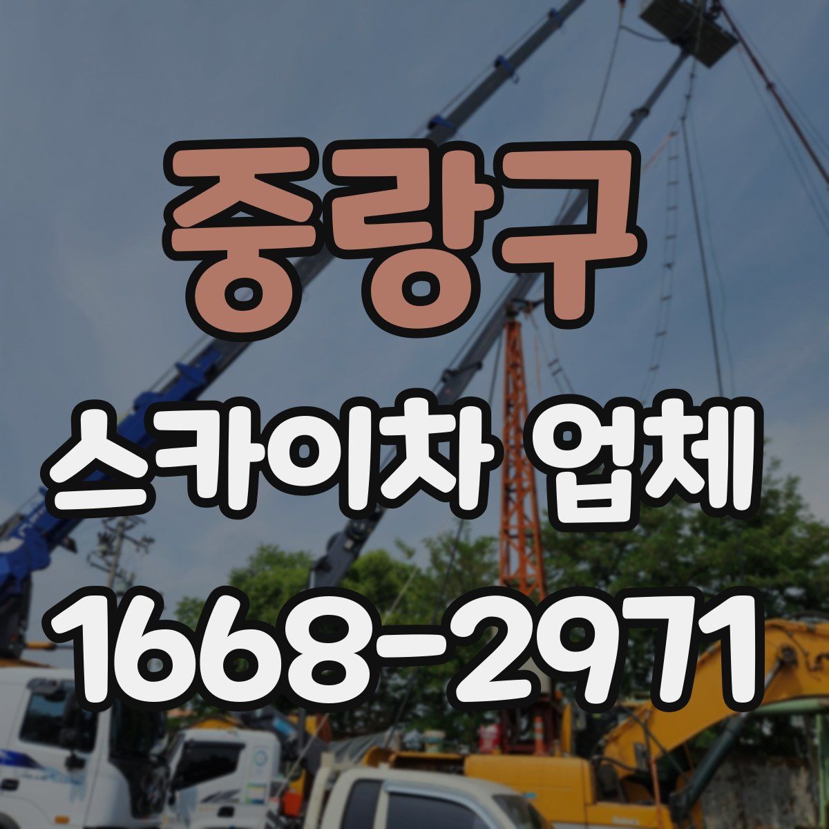 중랑구 스카이차 업체