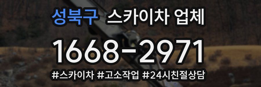 성북구 스카이차 업체