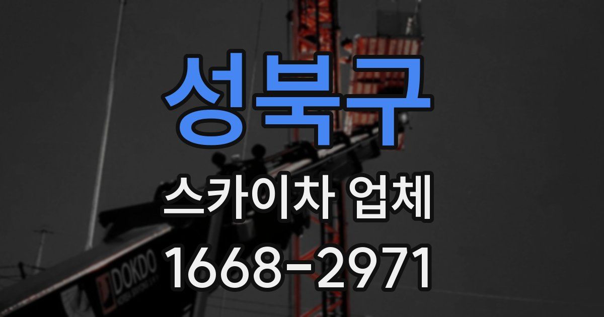 성북구 스카이차 업체