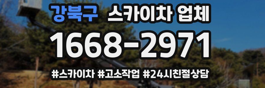 강북구 스카이차 업체