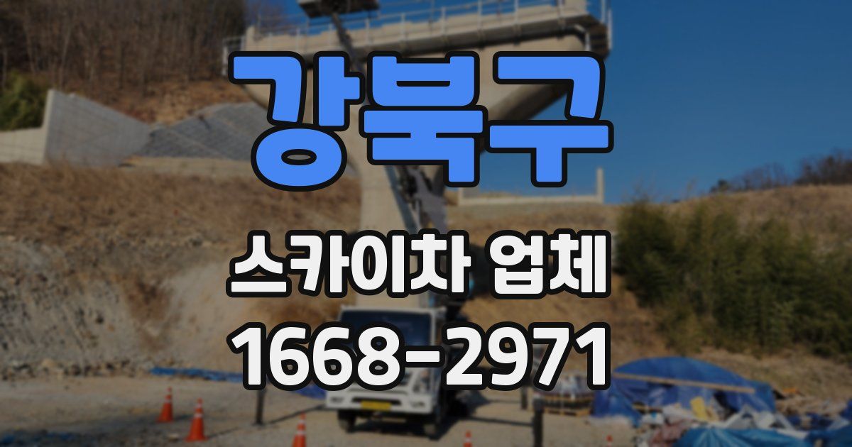 강북구 스카이차 업체