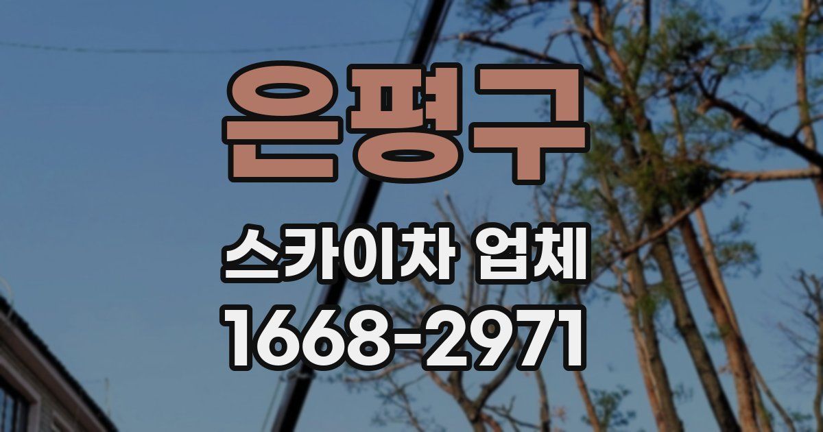 은평구 스카이차 업체