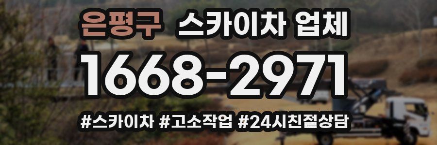 은평구 스카이차 업체