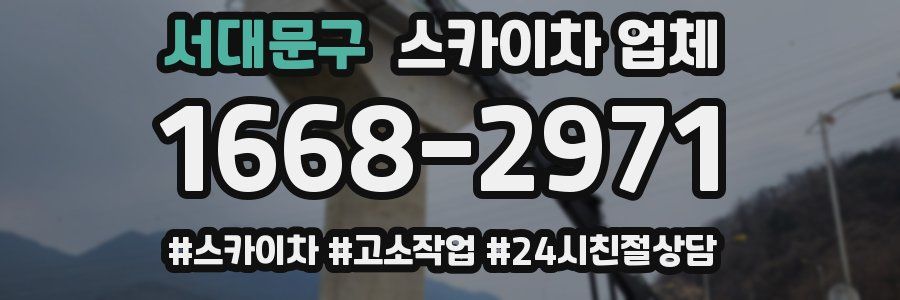 서대문구 스카이차 업체