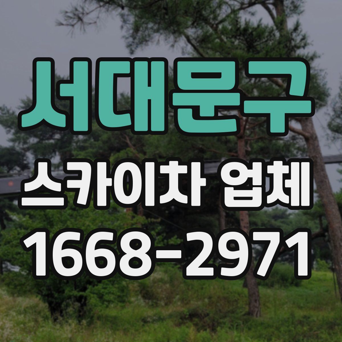 서대문구 스카이차 업체