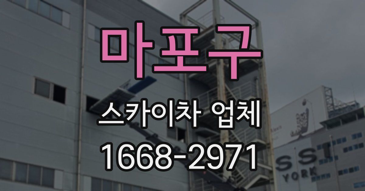 마포구 스카이차 업체