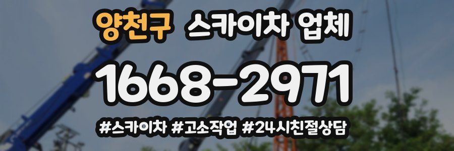 양천구 스카이차 업체