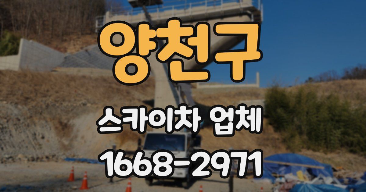 양천구 스카이차 업체