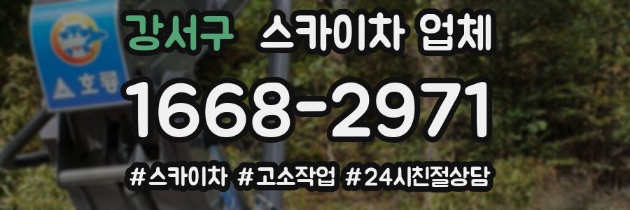 강서구 스카이차 업체