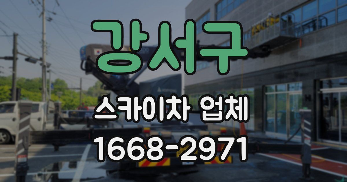강서구 스카이차 업체