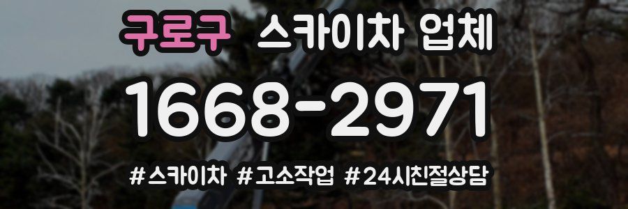 구로구 스카이차 업체