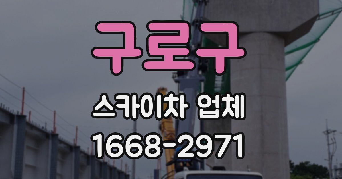 구로구 스카이차 업체