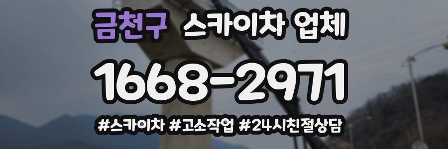 금천구 스카이차 업체
