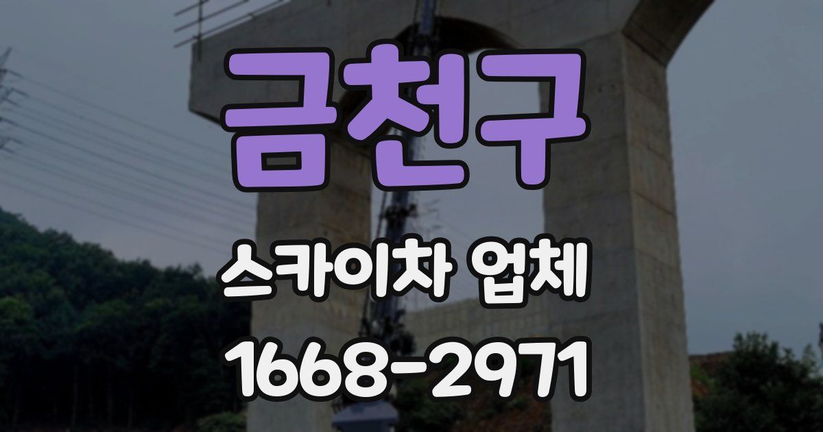 금천구 스카이차 업체