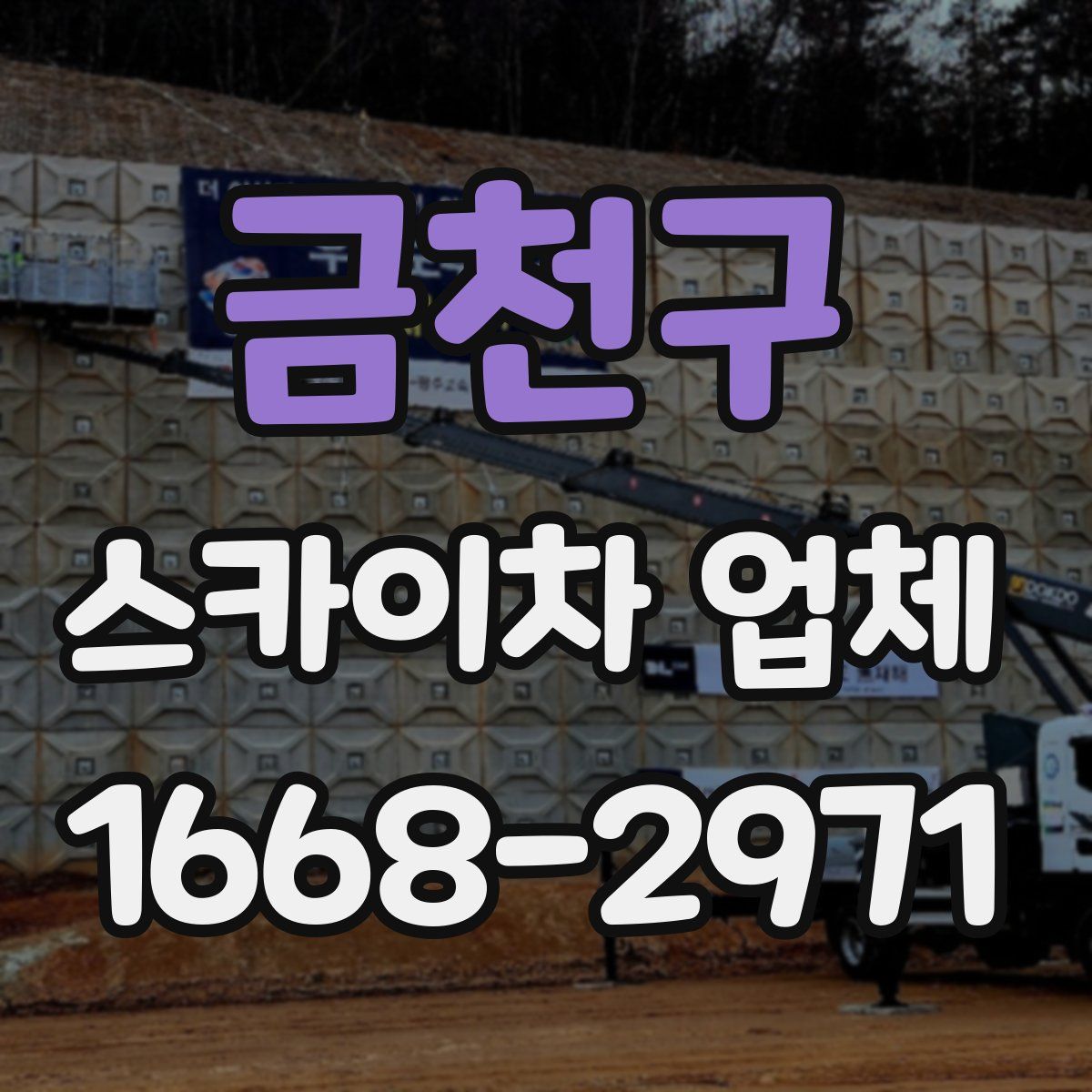 금천구 스카이차 업체