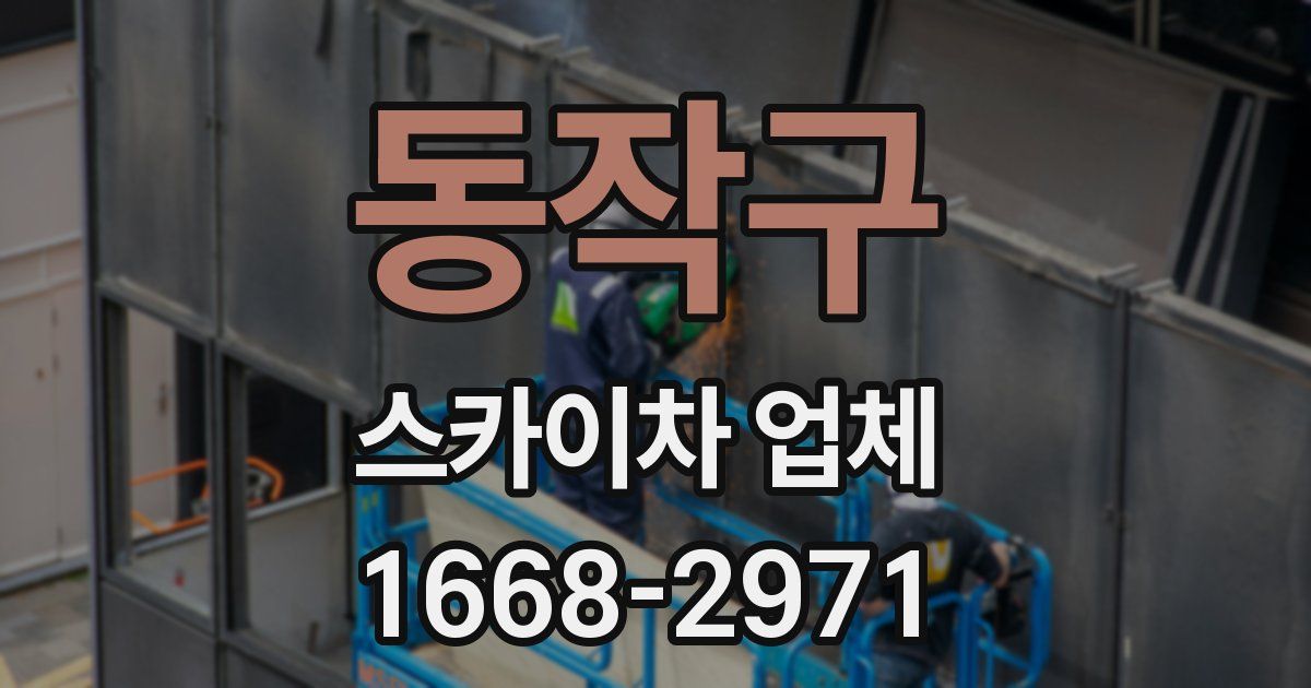 동작구 스카이차 업체