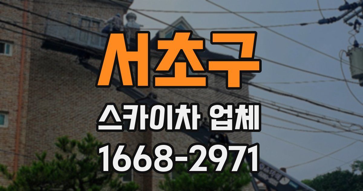 서초구 스카이차 업체