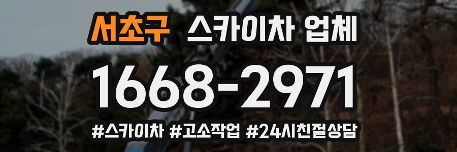 서초구 스카이차 업체