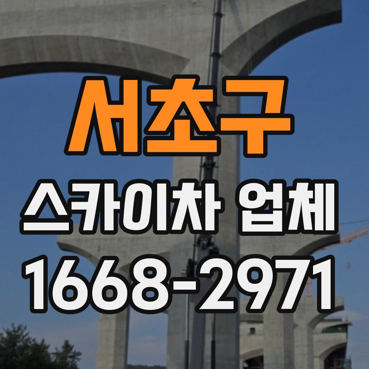 서초구 스카이차 업체