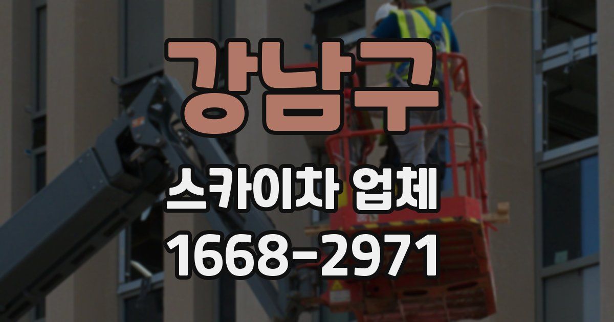강남구 스카이차 업체