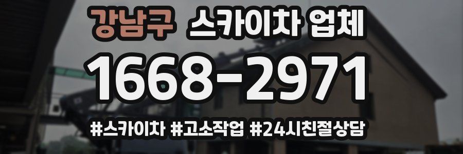 강남구 스카이차 업체