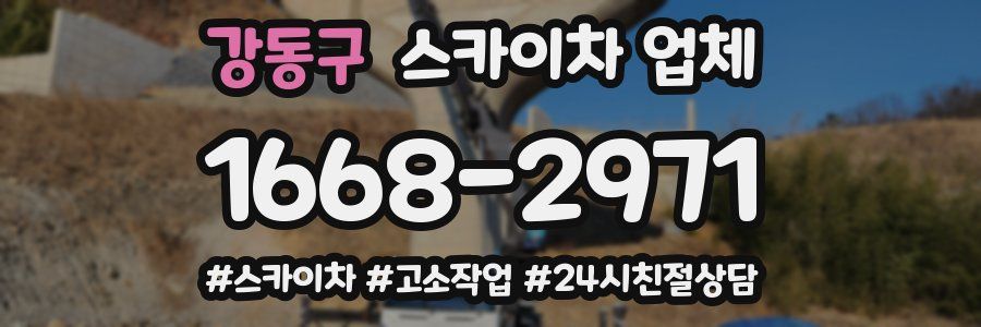 강동구 스카이차 업체