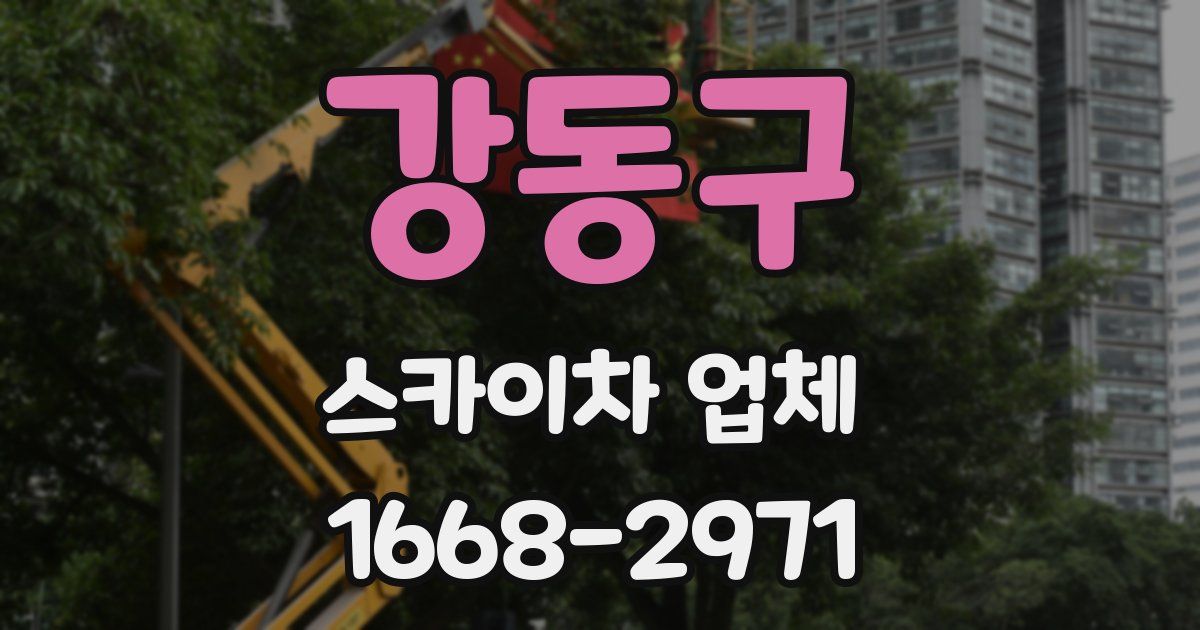 강동구 스카이차 업체