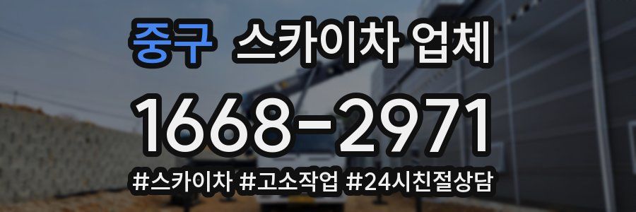 중구 스카이차 업체