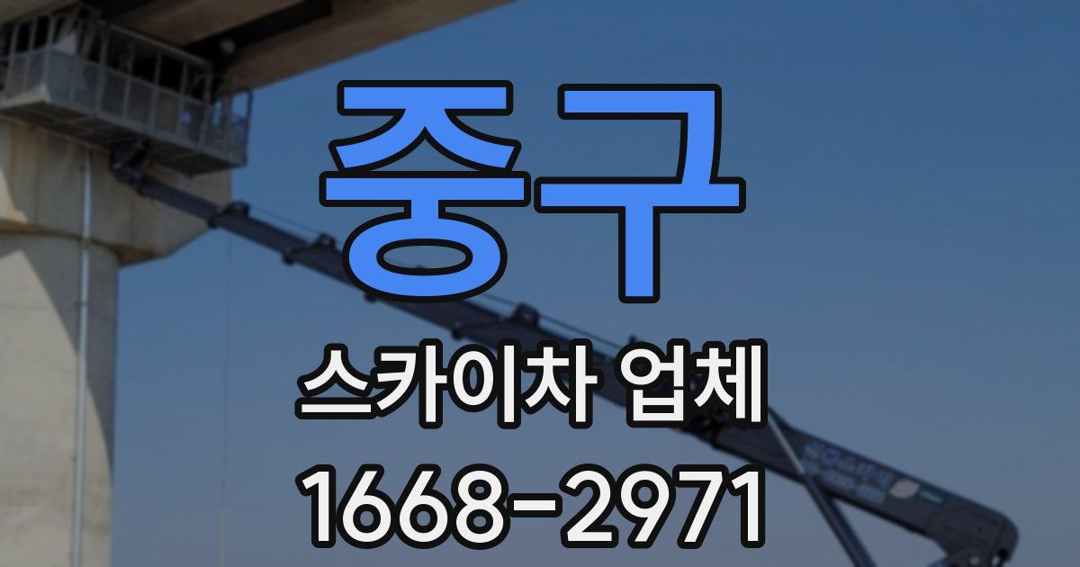 중구 스카이차 업체