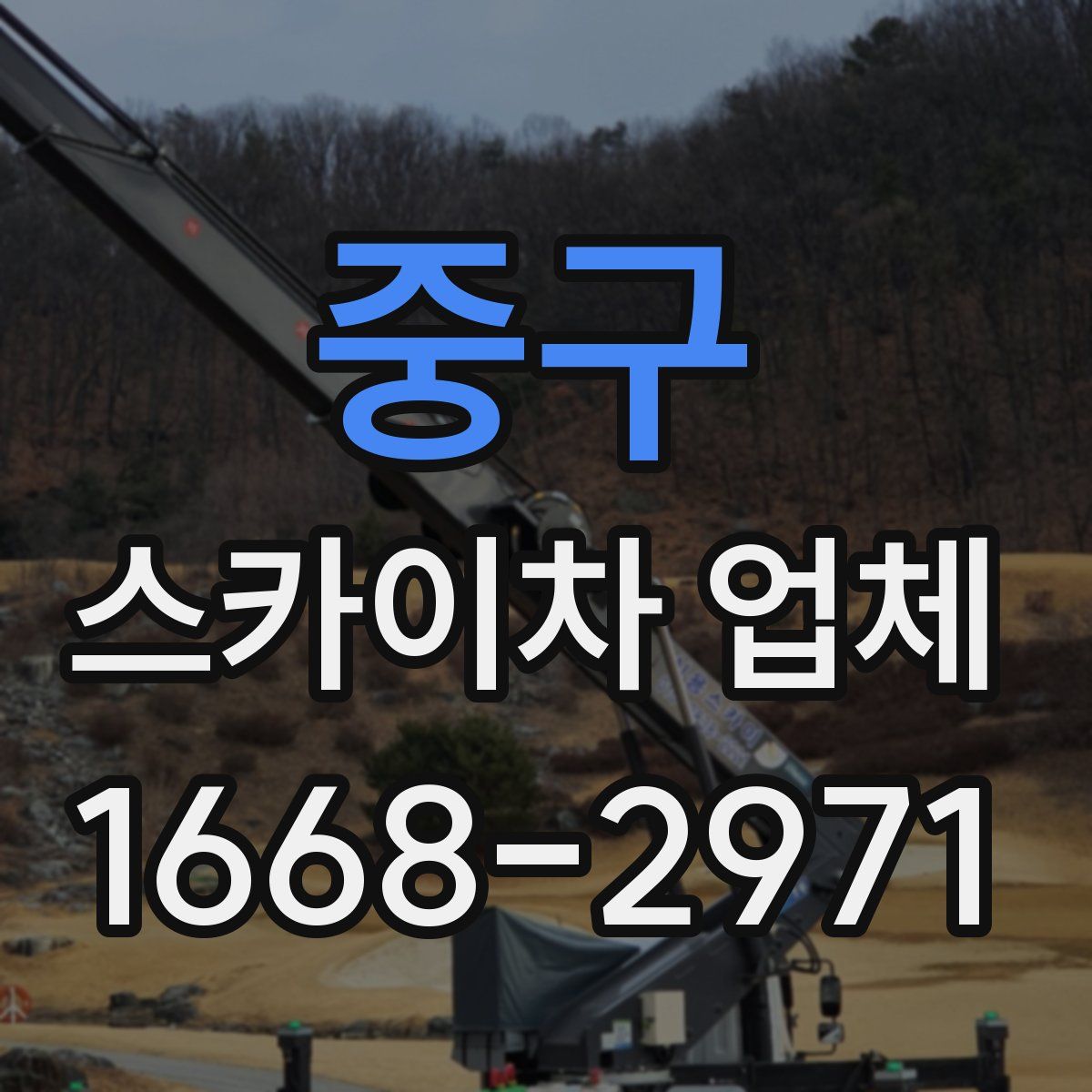 중구 스카이차 업체