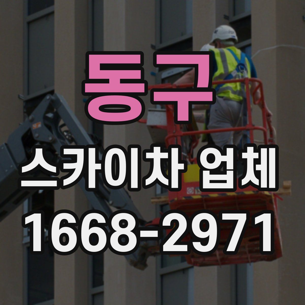 동구 스카이차 업체