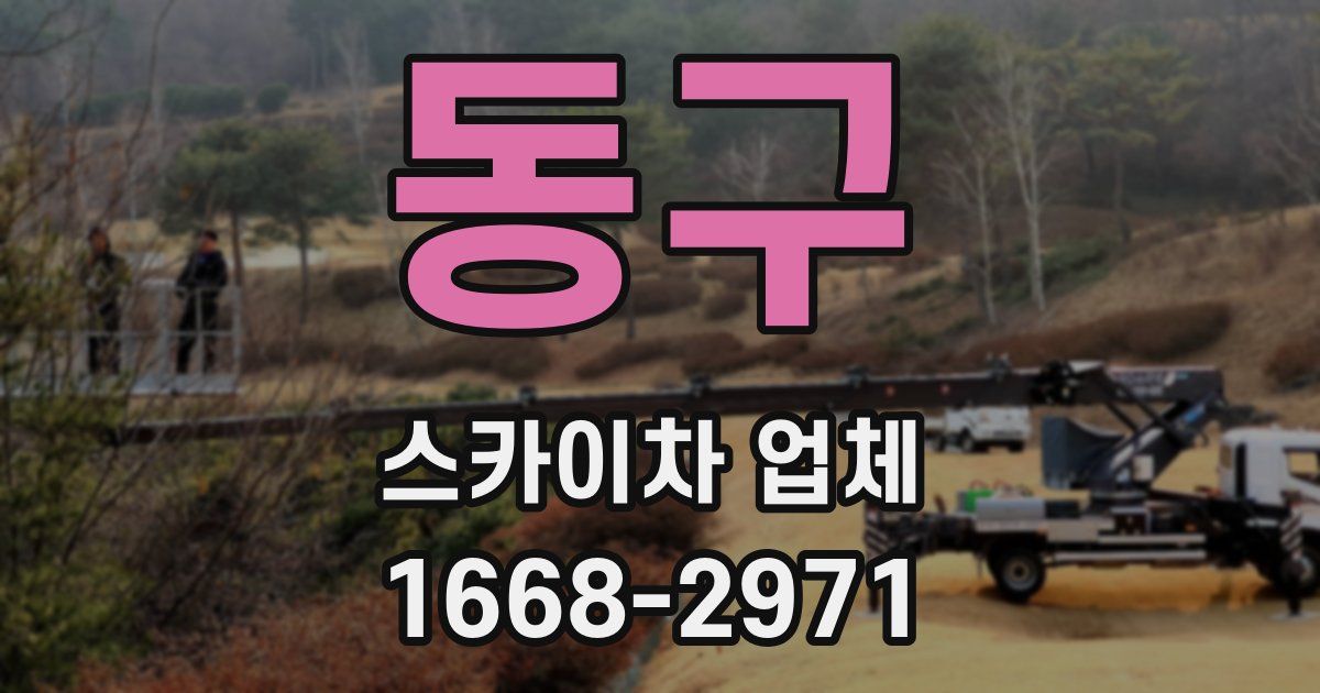 동구 스카이차 업체