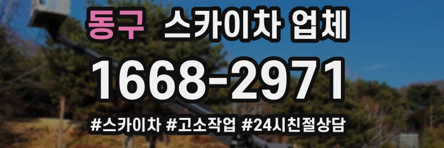 동구 스카이차 업체