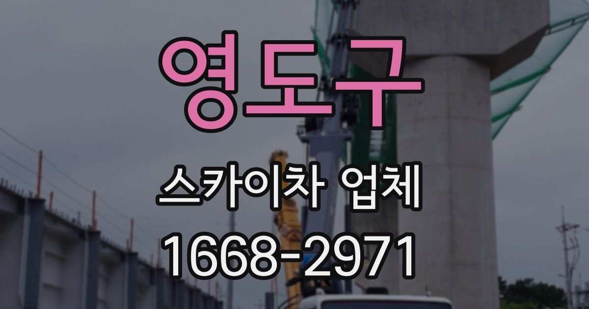 영도구 스카이차 업체