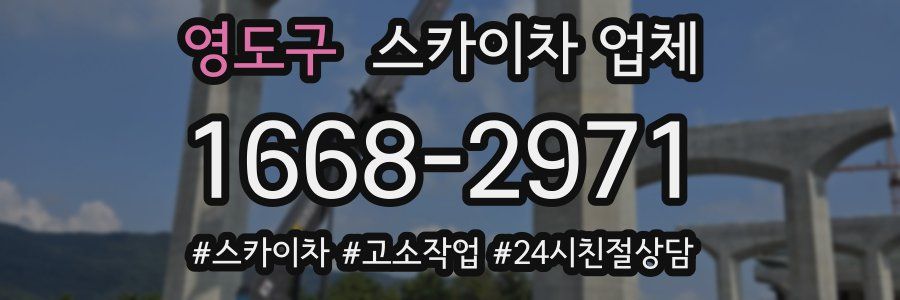 영도구 스카이차 업체