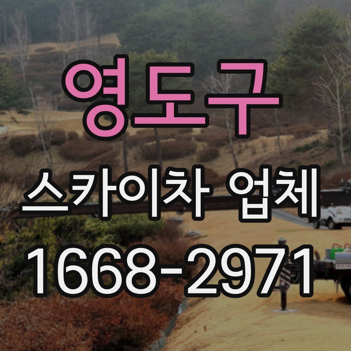 영도구 스카이차 업체