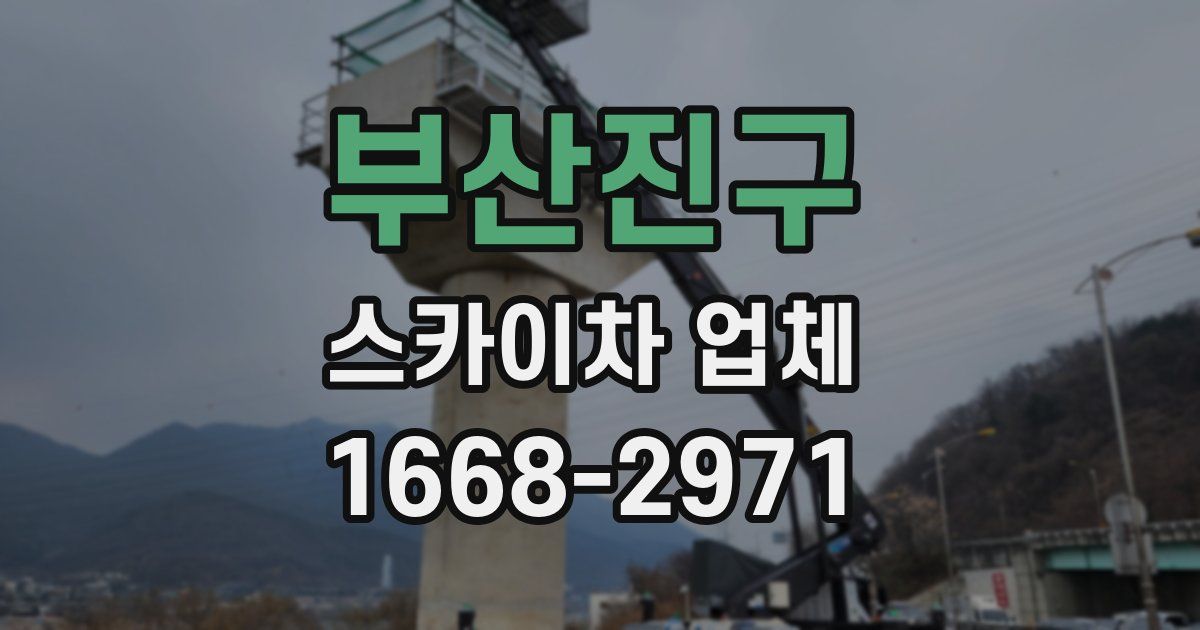 부산진구 스카이차 업체