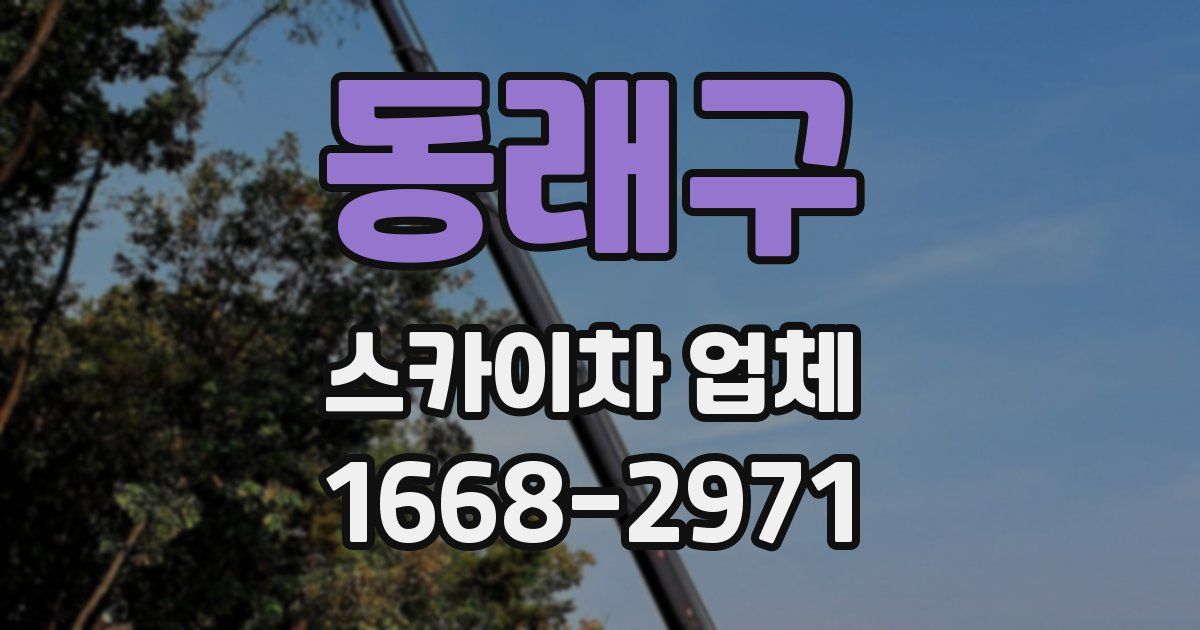 동래구 스카이차 업체