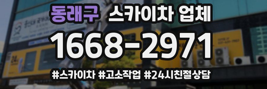 동래구 스카이차 업체