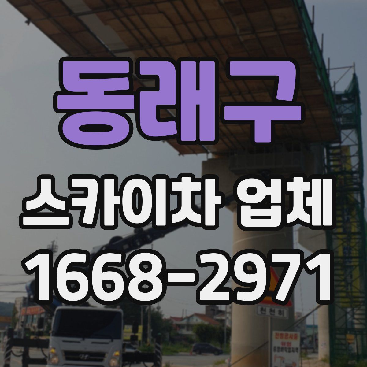 동래구 스카이차 업체